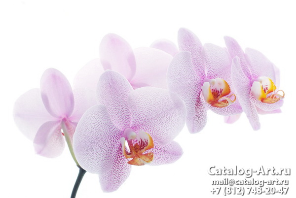 Натяжные потолки с фотопечатью - Розовые орхидеи 33